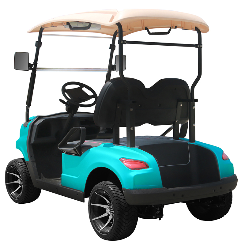 Carro de golf estilo B 2 asientos cian 