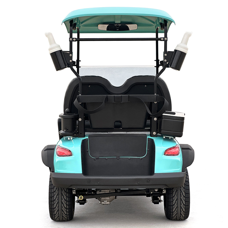 Carro de golf estilo C 2 asientos verde menta